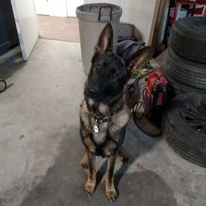 Meet your Posher, Greg